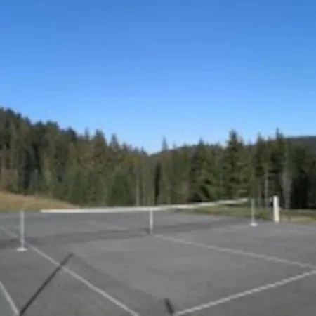 Le Chevreuil De Montagne Ban-sur-Meurthe-Clefcy